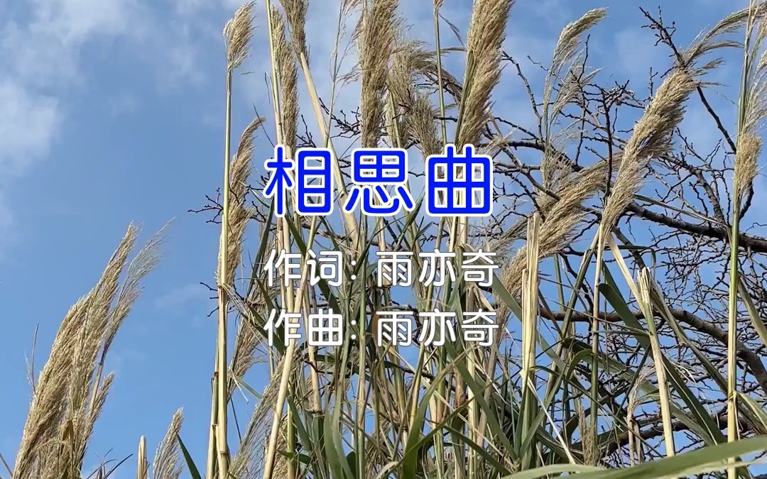 相思插曲音乐下载(长相思插曲合集完整版)