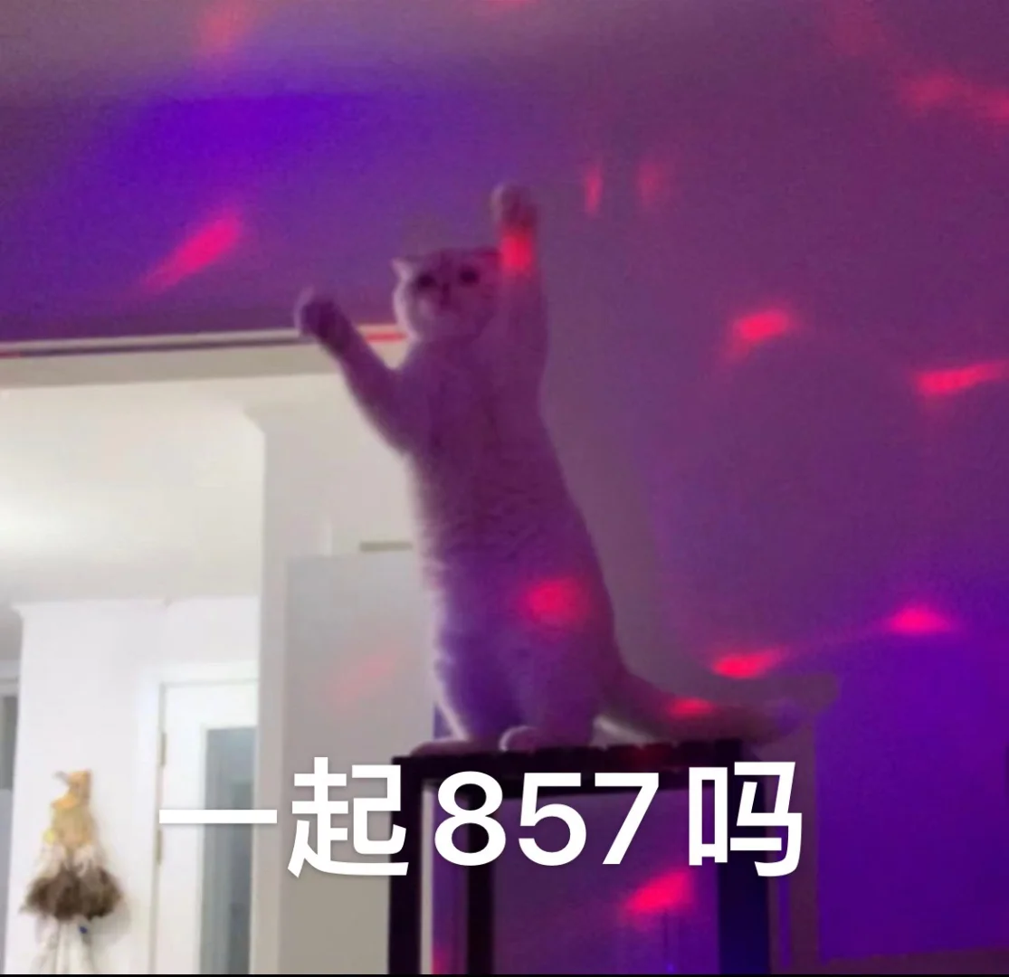猫咪养护大师免费下载_(养猫助手app软件哪个最好)