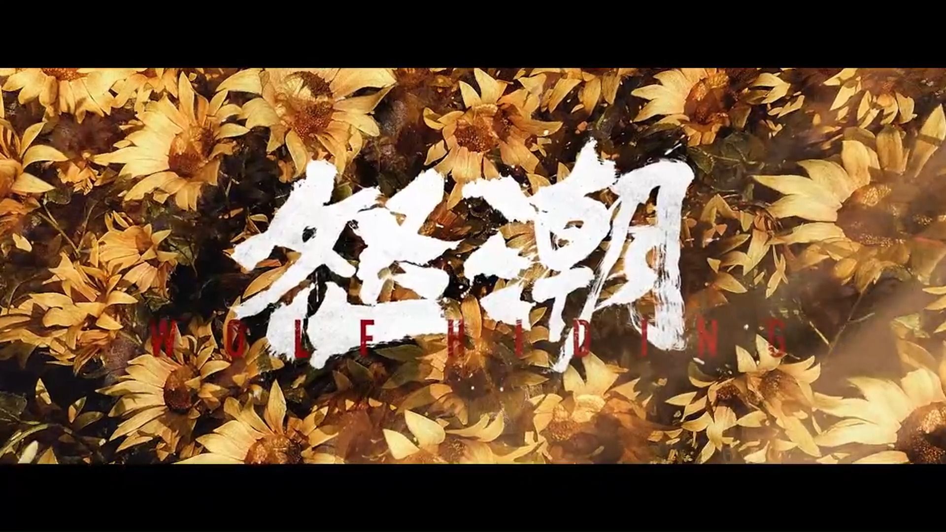 怒潮电影字幕下载_(怒潮电影中所有插曲)
